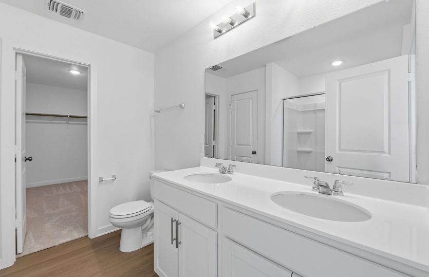 Representational Photo- Primary Bathroom