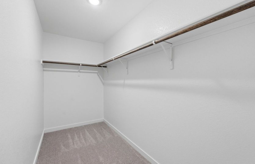 Representational Photo- Primary Closet