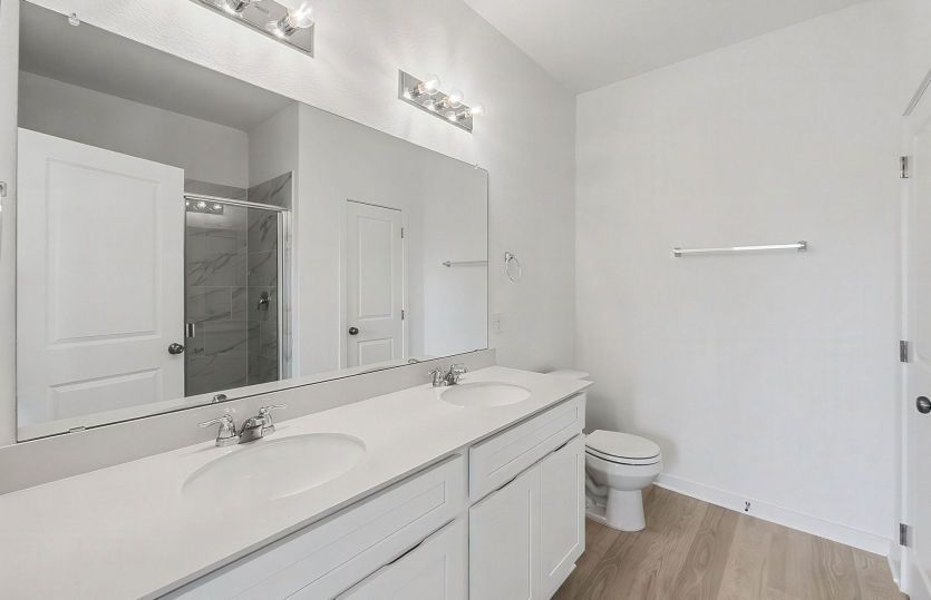 Representational Photos- Primary Bathroom