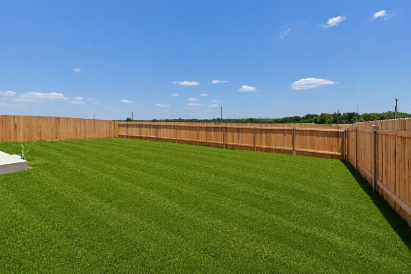 Backyard
