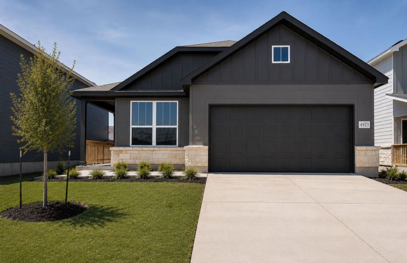 4923 Conch Shell (Chatfield)