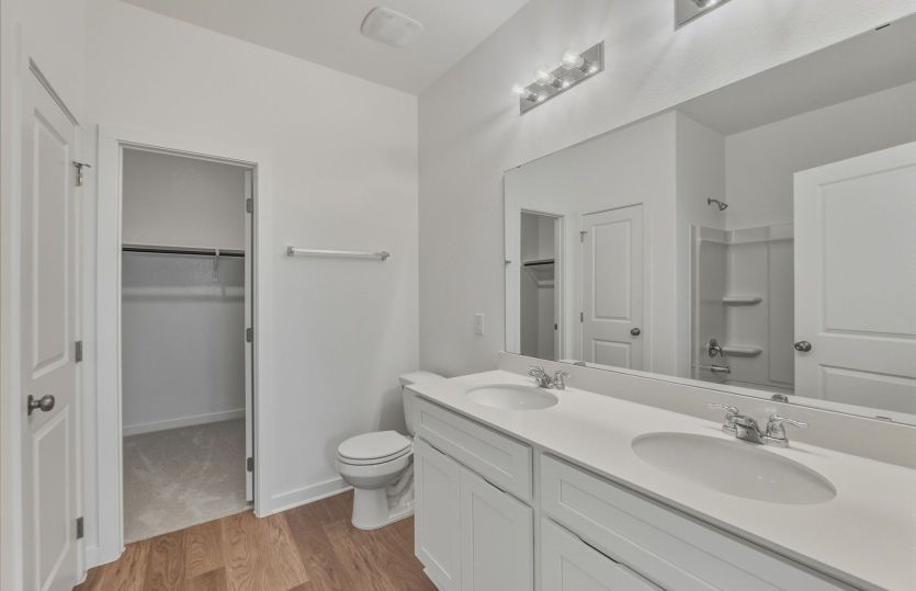Representational Photo- Primary Bathroom