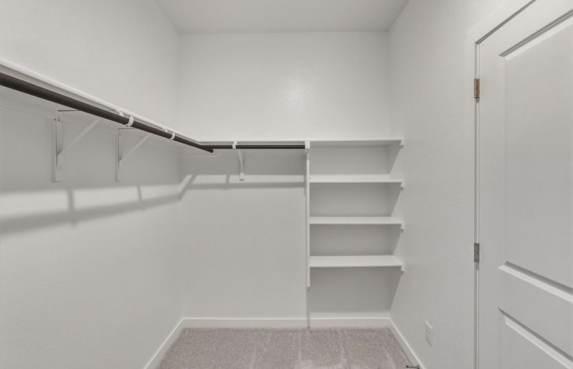 Representational Photo- Primary Closet