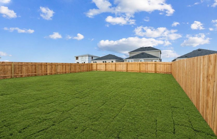 Backyard