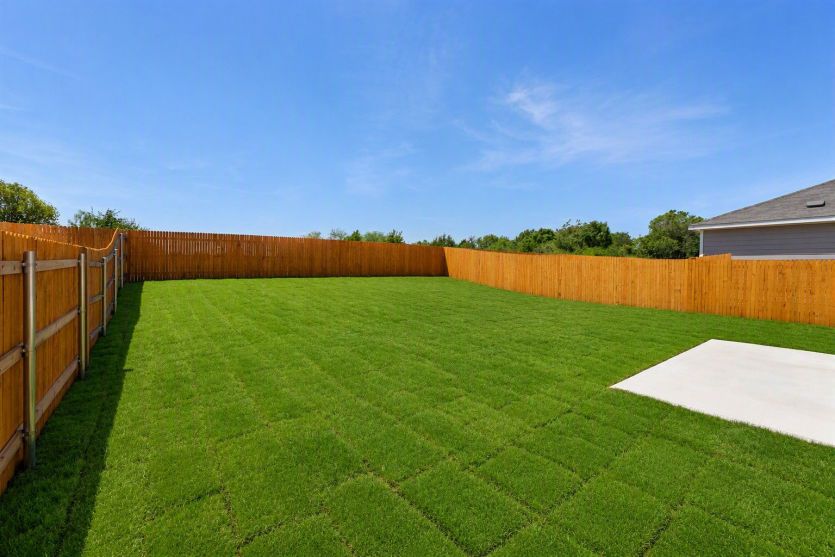 Backyard