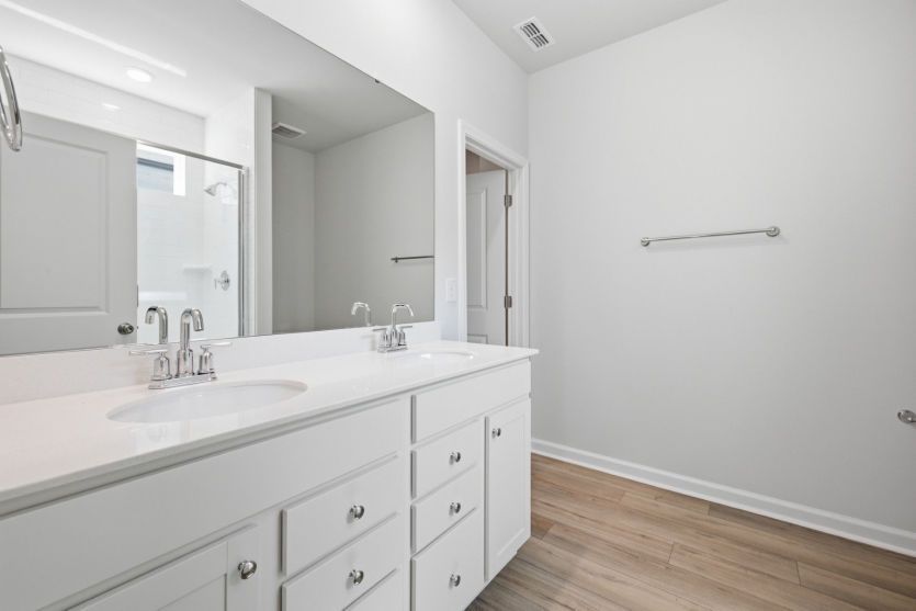 Ibis #255 Owner's Bath