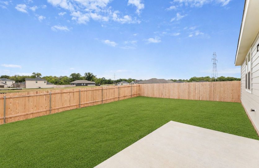 Backyard