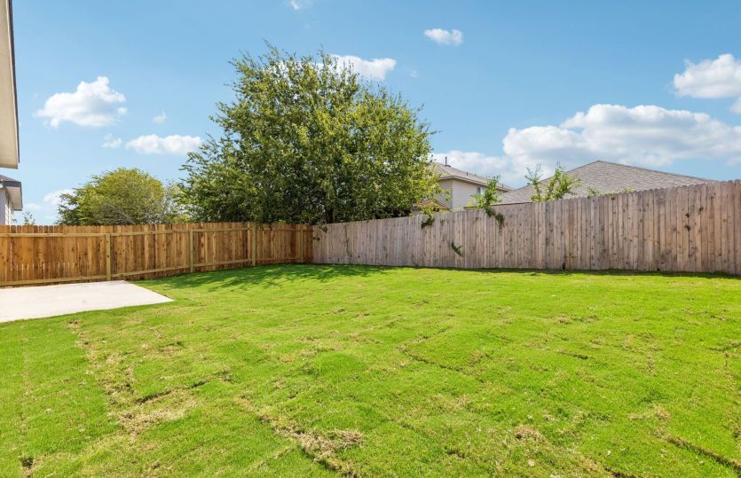 Backyard