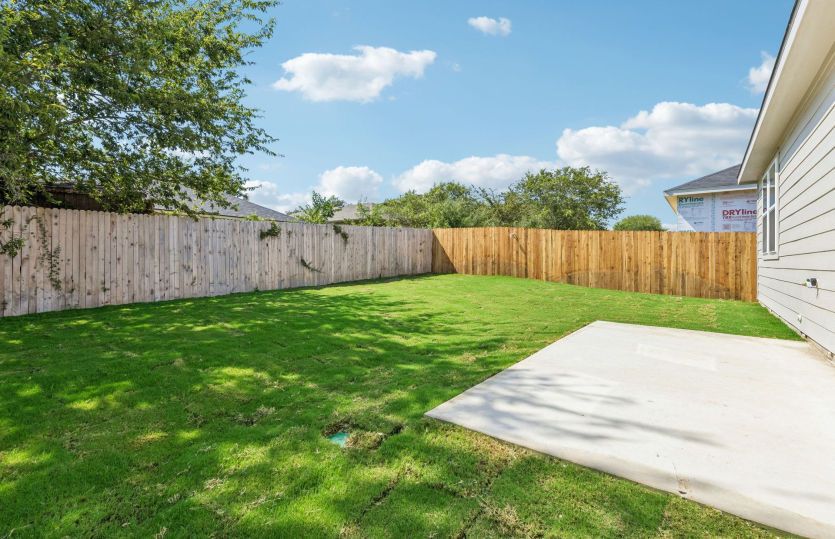 Backyard