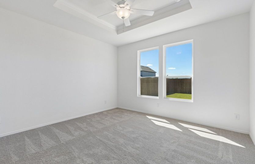 Tray ceiling and large window in owners bedroom