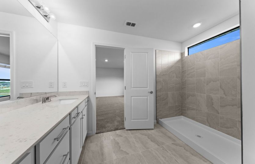 Owner's bathroom