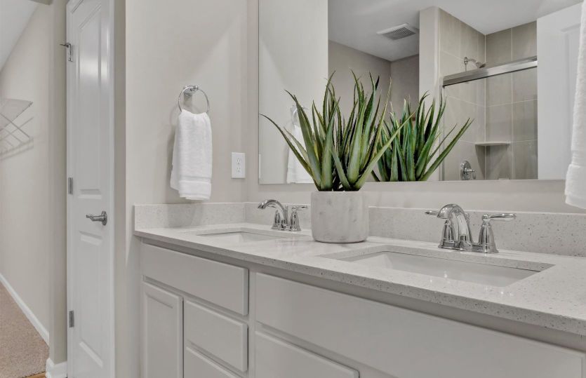 Owner's Bath