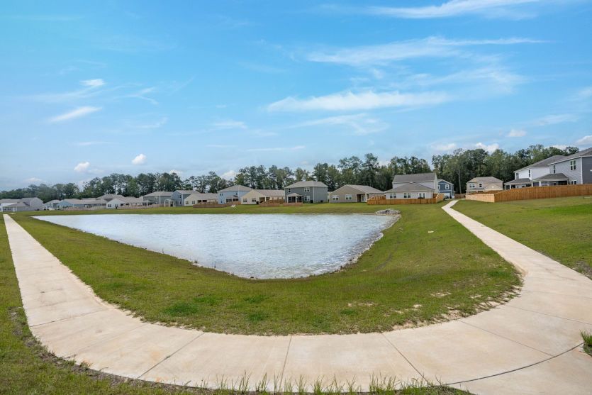 Pond View
