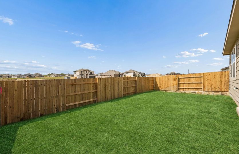 Backyard