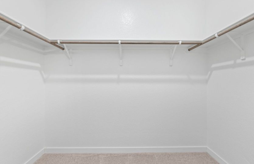 Representational Photo- Primary Closet