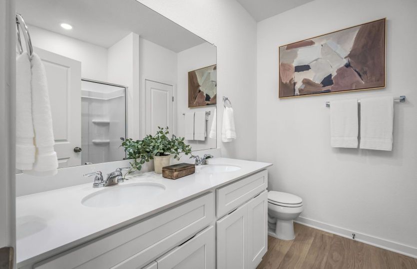 Model Representation- Primary Bathroom