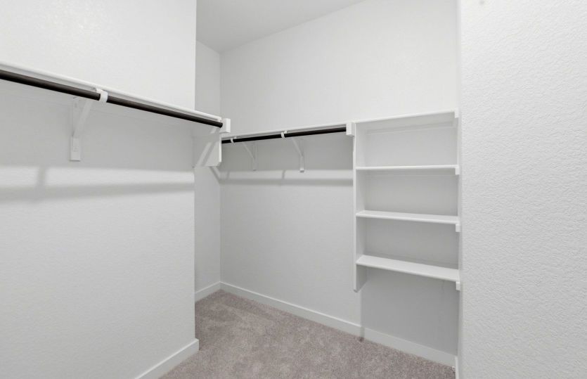 Representational Photo- Primary Closet