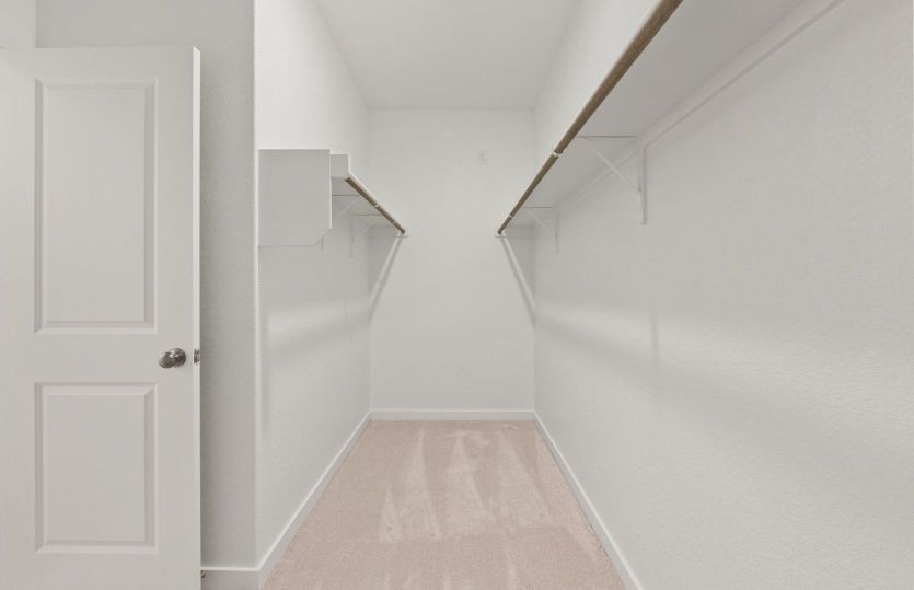 Representational Photo- Primary Bedroom Closet
