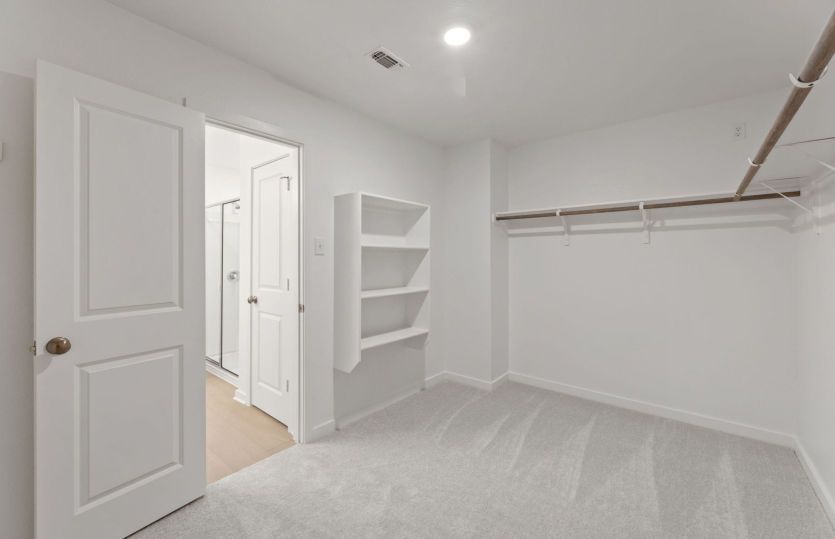 Representational Photo- Primary Closet