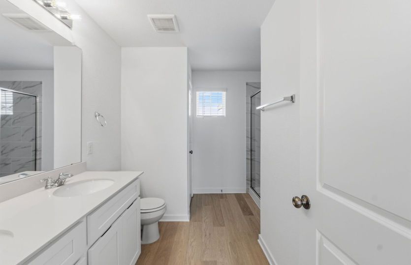 Representational Photo-Primary Bathroom