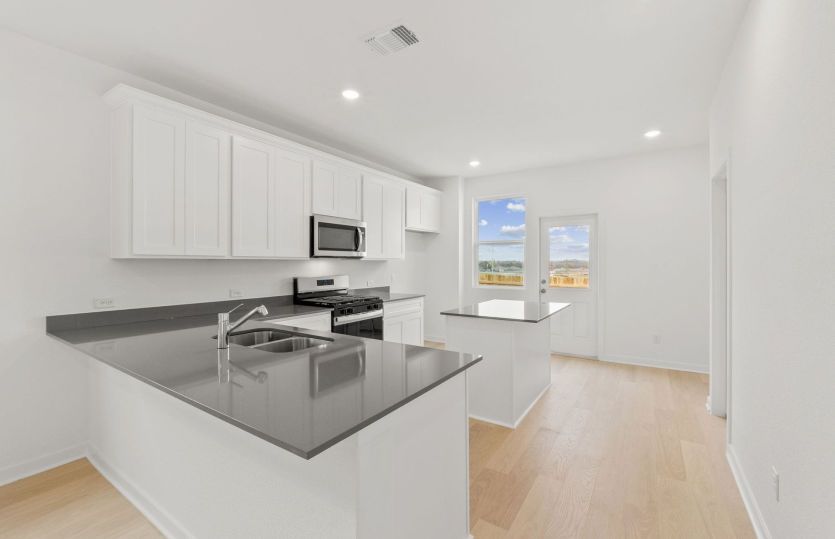 Representational Photo- Open Kitchen