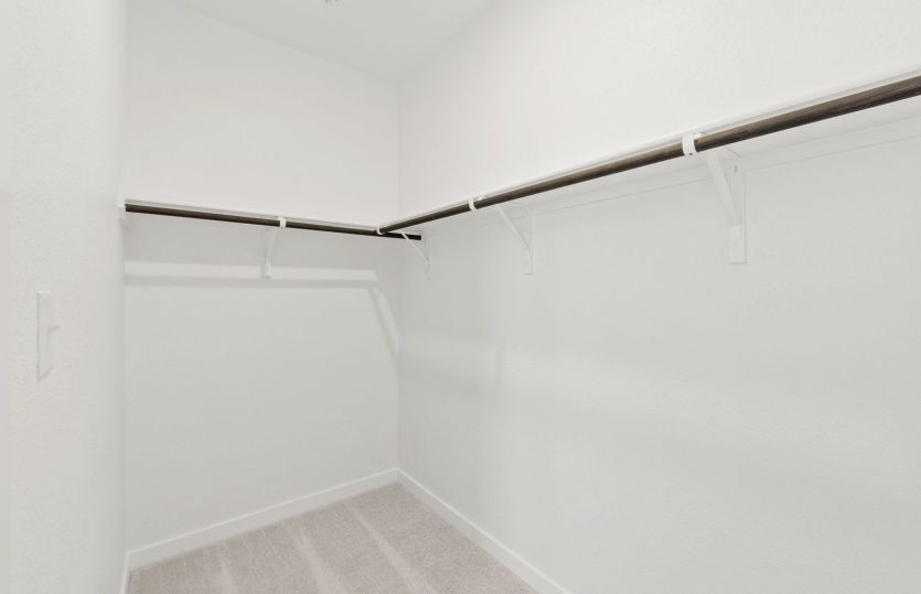 Representational Photo- Primary Closet