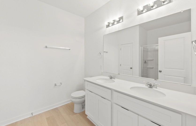 Representational Photo- Primary Bathroom