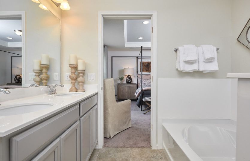 Owner's Bath