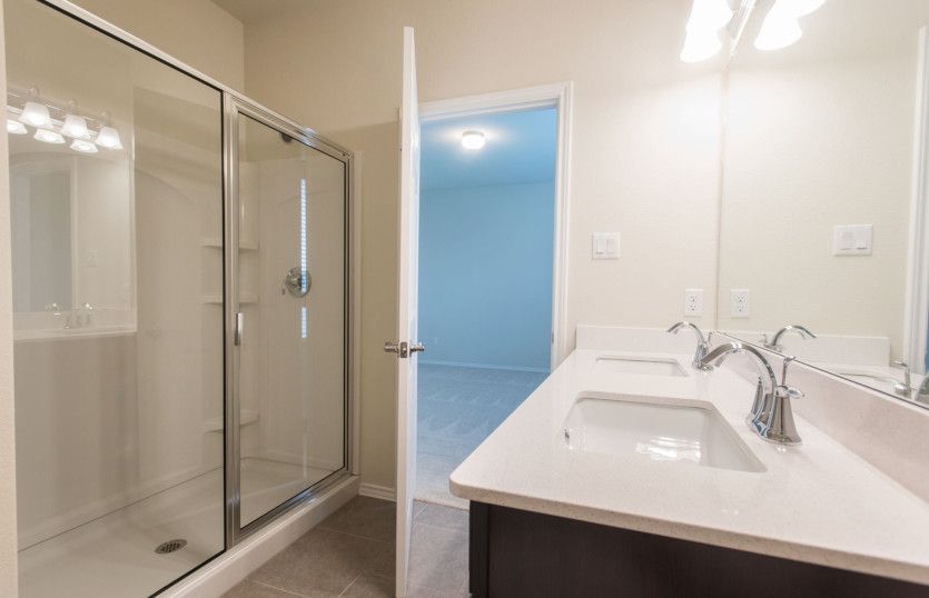 Owner's bath with large shower