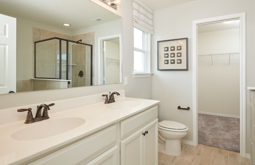 Owner's Bathroom