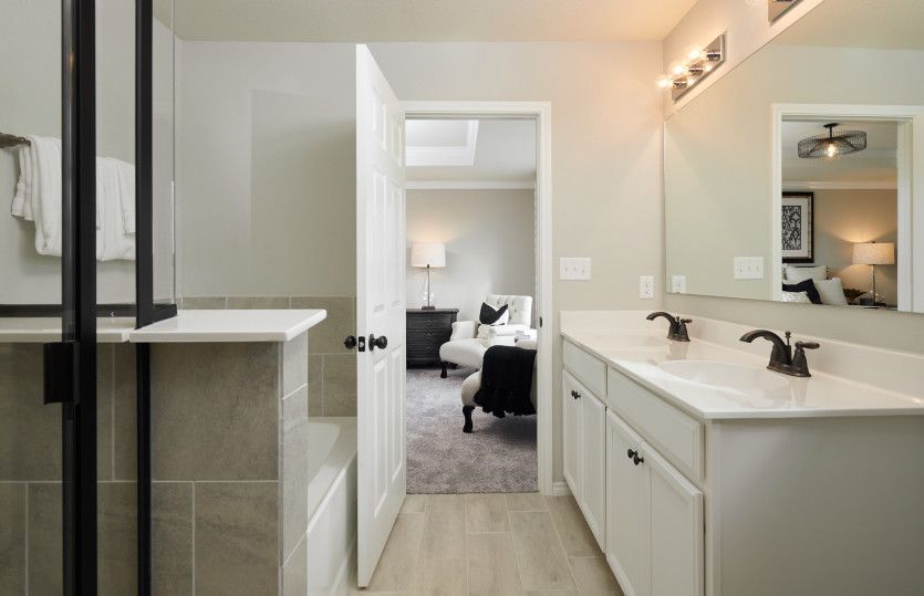 Owner's Bathroom