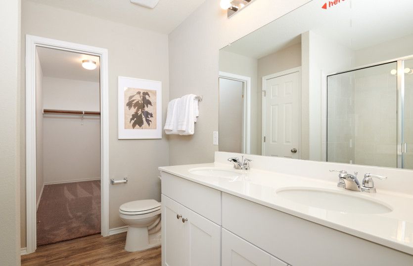 Owner's Bath