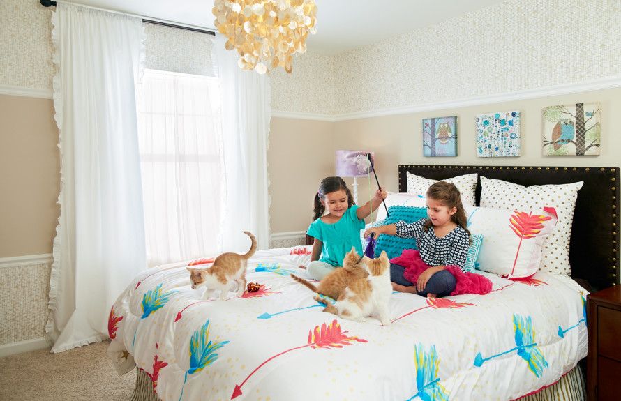 Modern, Affordable Homes