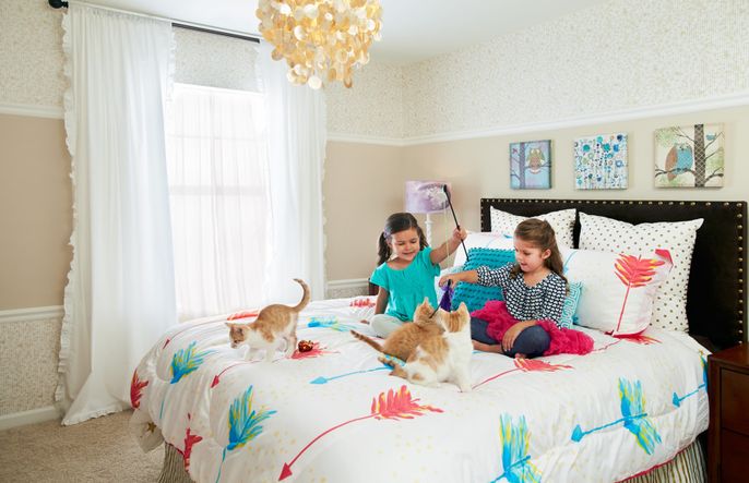 Modern, Affordable Homes