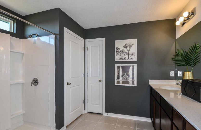 Owner's bathroom