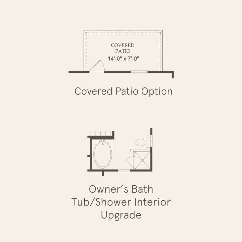 Options