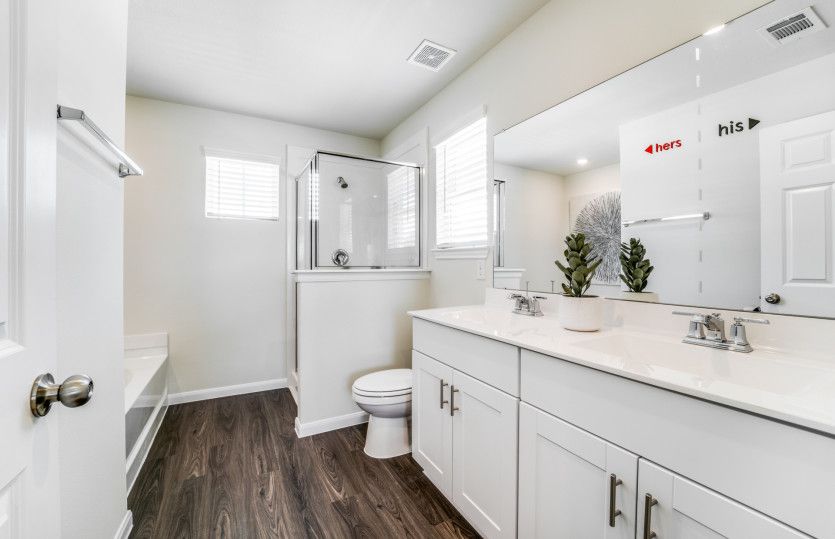 Owner's Bath