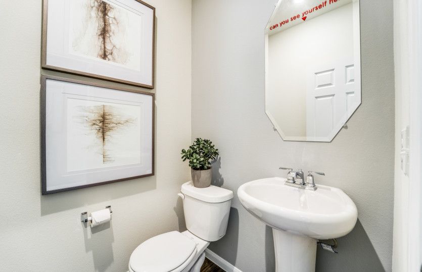 Powder Bath