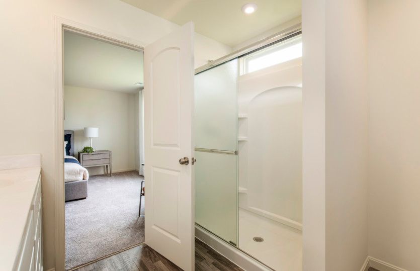 Owner's Bath