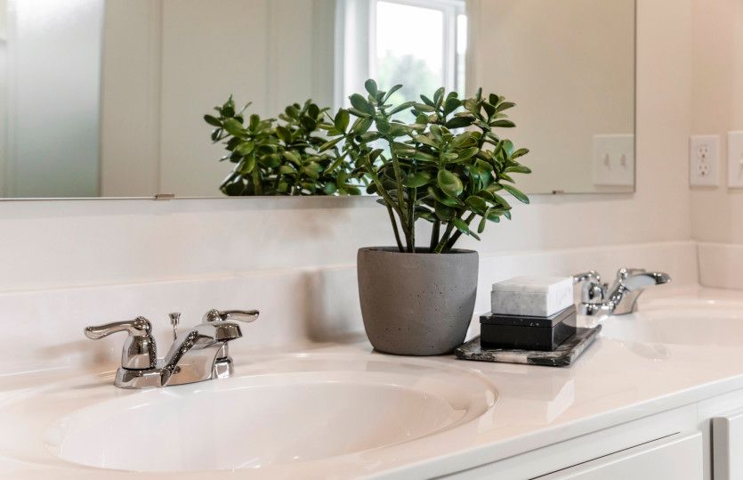 Owner's Bath
