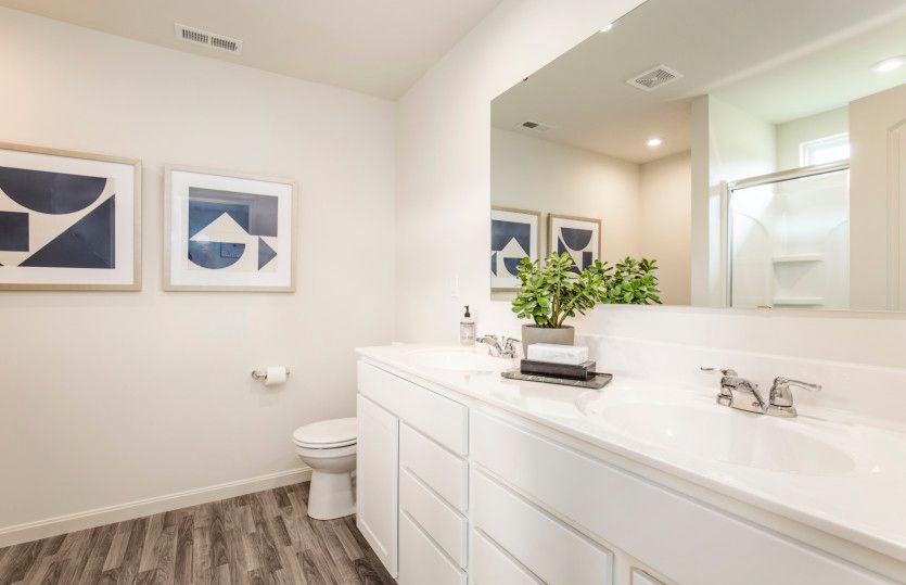Large Owner's Bath