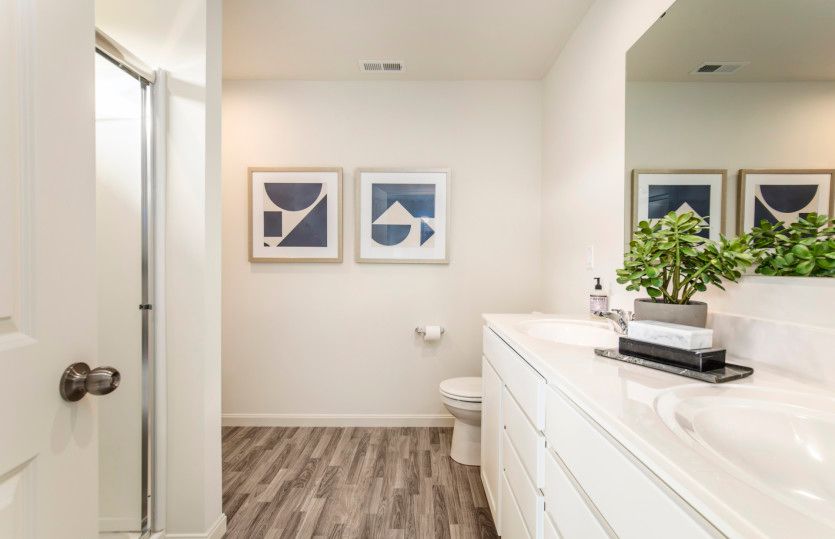 Owner's Bath