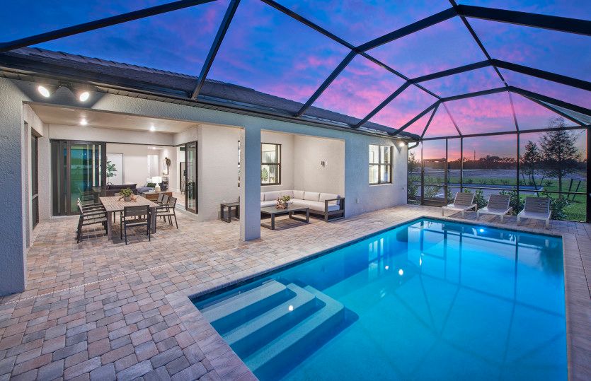 Pool with screen enclosure