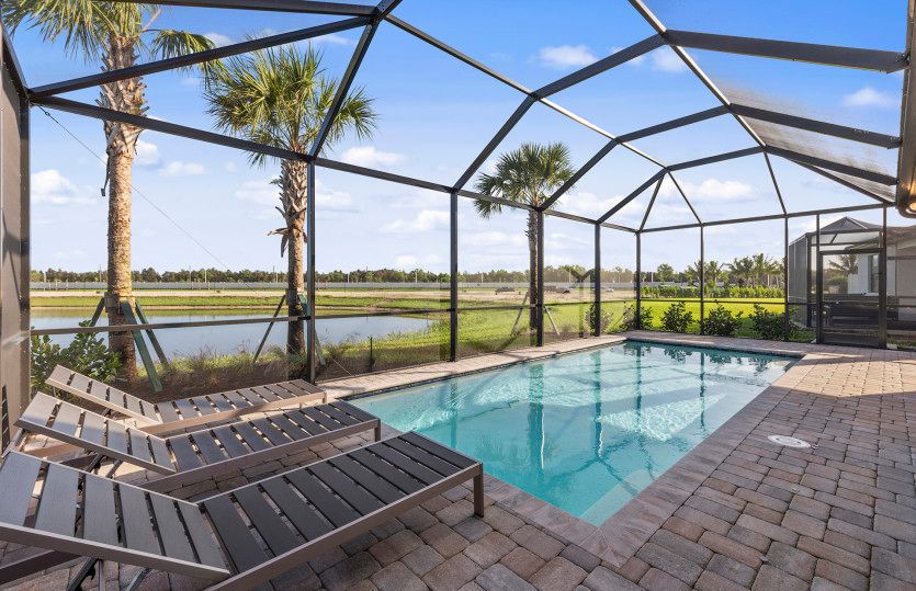 Pool with screen enclosure