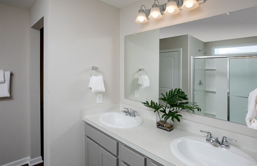 Owner's Bath