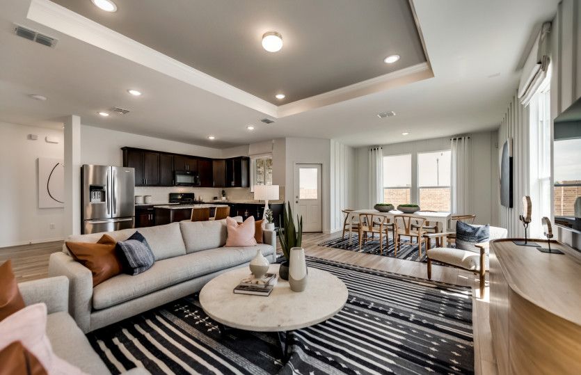 Open-Concept Living Spaces