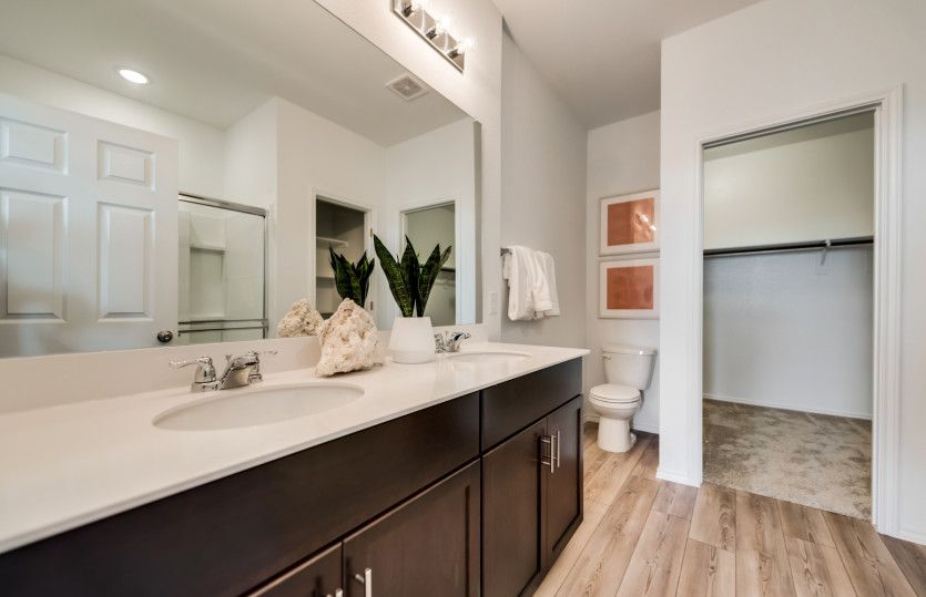 Owner's Bath with Double Vanity Sinks