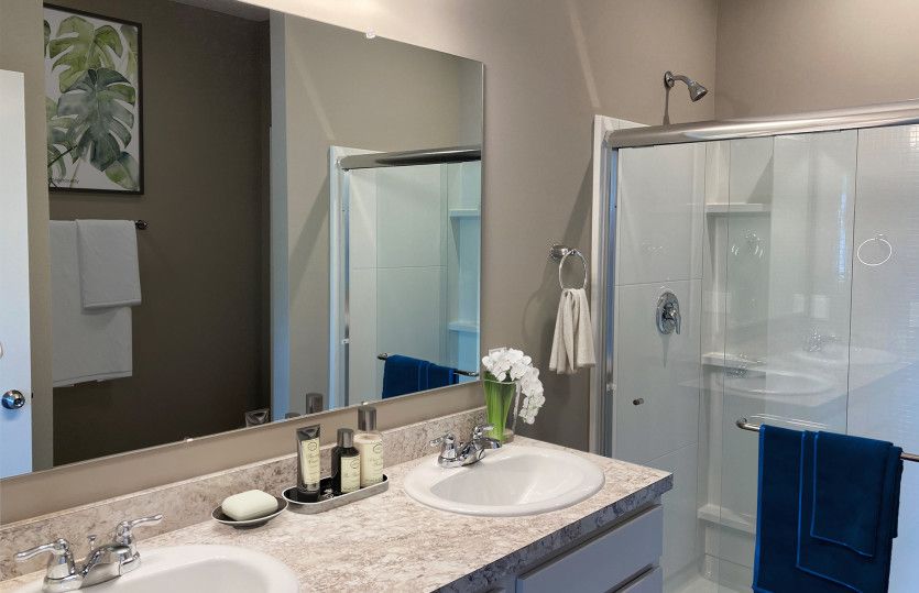 Owner's Bath