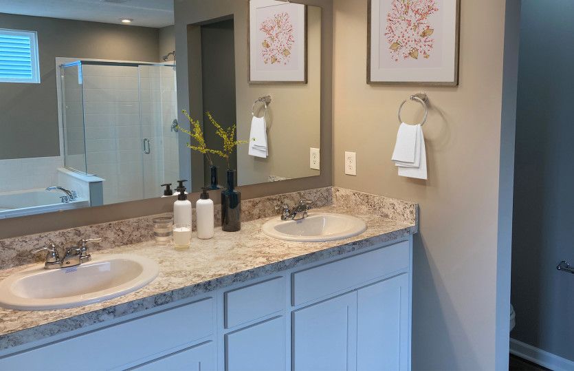 Owner's Bath