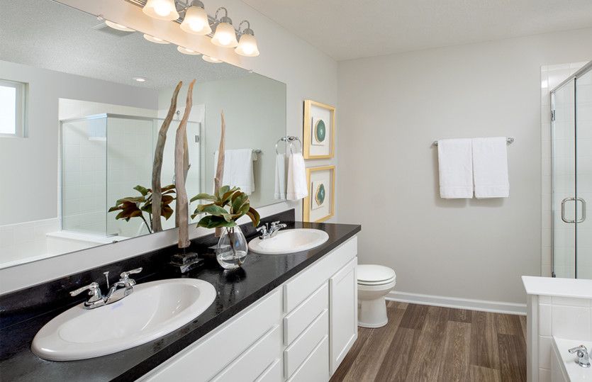 Owner's Bath